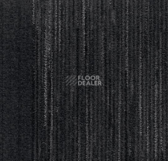 Ковровая плитка Coral Interior 1530 Midnight Shadow фото 1 | FLOORDEALER